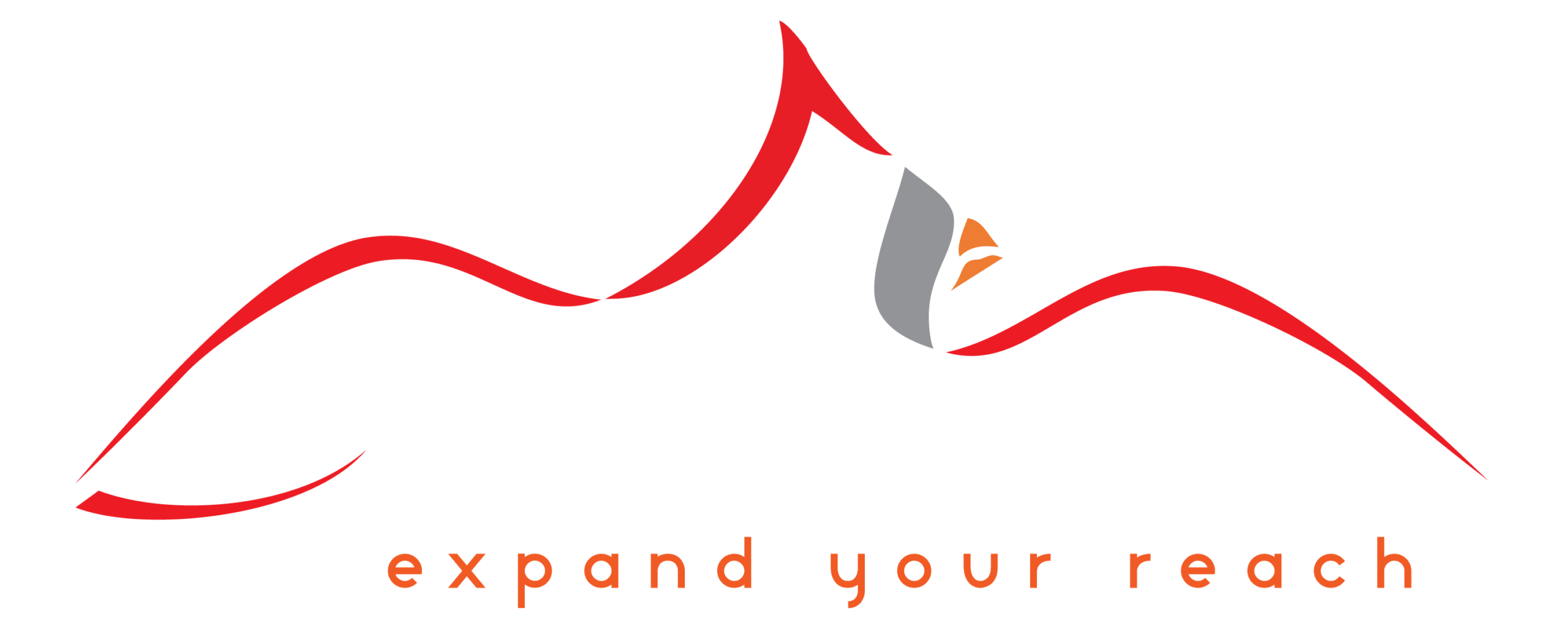 It's Cardinal Marketing